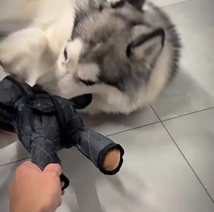 Dog Toys Aggressive Chewers Indestructible Stuffed Plush Dog Squeaky Toy Keep Them Busy Durable Tough Heavy Duty Chewer Dog Toy Large Breed (1PC) #petproducts #dogtoy #dogtoys #dogtoyreview #interactivedogtoys #dogtoymusthave #dogenrichmenttoy #squeakytoy #puppytoys #dogplush
