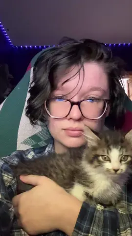 not sure what she did, but she did smth but my mother found a kitten at work…she now lives in my closet till wednesday  #cosplayer #cosplay #AttackOnTitan #aot #armin #aotcosplay 