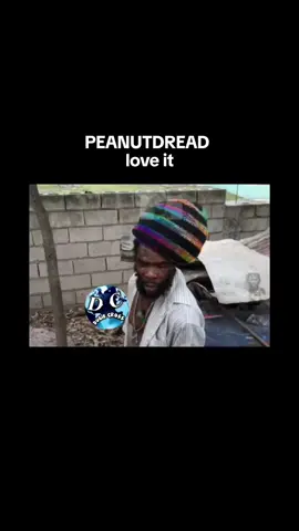 #fyp #fyppp #PEANUTDREAD #foryou #foryoupage #fypviral #vyralvideo #trending #jamaicantiktok #dugiecross #dugiecrosscbs #dugiecrossentertaientment 