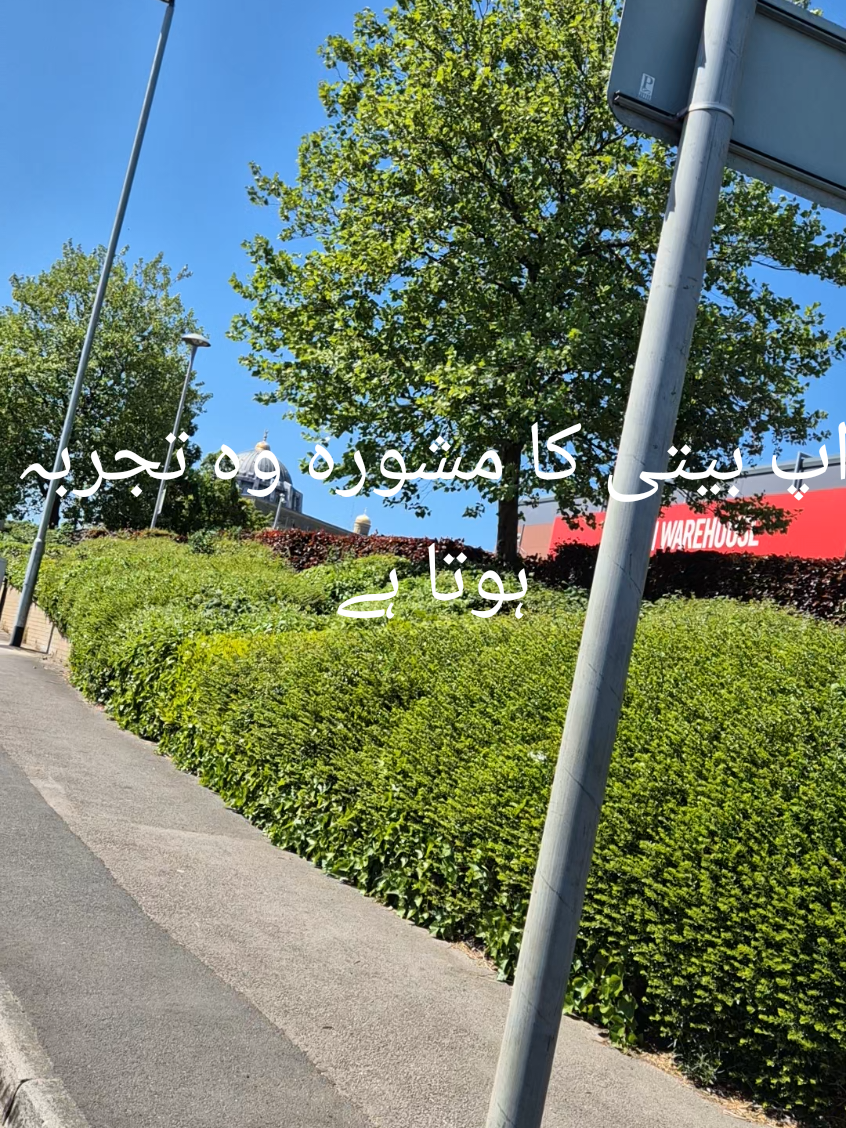 #zahidaparveen33 #kisi #ko #divorce #hoti #hei #kohi #bewa#hoti#hei#unka #mashwara #aik#tajarba #hota#hei#@Fatima @Hooria API official @Nazir Fatimha @islamic Queen👑 @👰👰لاڈو رانی 👰‍♀️👰‍♀️ #pageforyou #videoviral #likeshere 