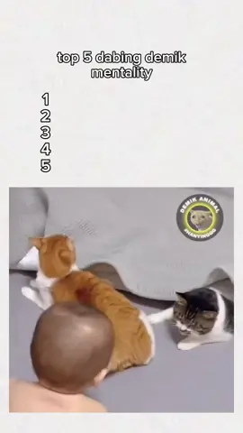 top 5 dabing demik mentality #demikanimal #dabing #mentality #bikinngakak #4u #masukberanda #fyp #viral #fypege