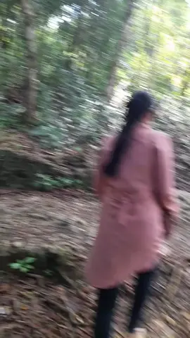 cagar alam pangandaran 
