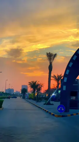 #uae #colorsofnature #foryoupage 