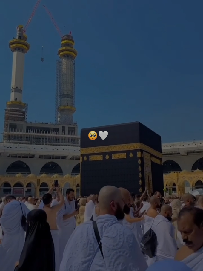|Part 48|mana kabhi Kisi ka haq nhi mara🙏🫶🥺#statusvideos #islamicvideo #growmyaccount #fypシ゚viral🖤tiktok #foryou #foryoupage❤️❤️ 