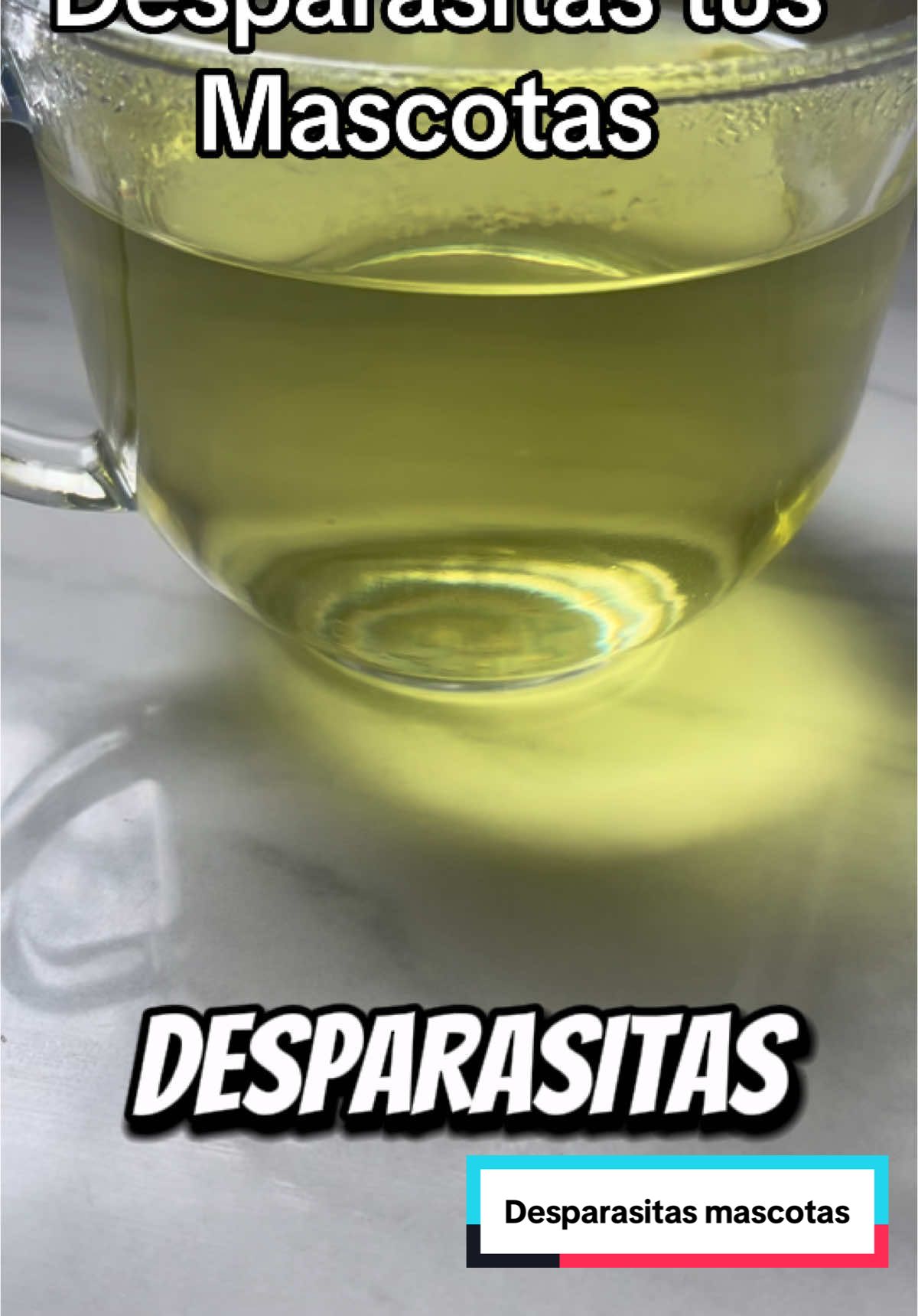 Desparasitas tus mascotas de forma natural y efectiva.#recetasnaturales #recetassaludables #mascotasreaccionan #perejil 