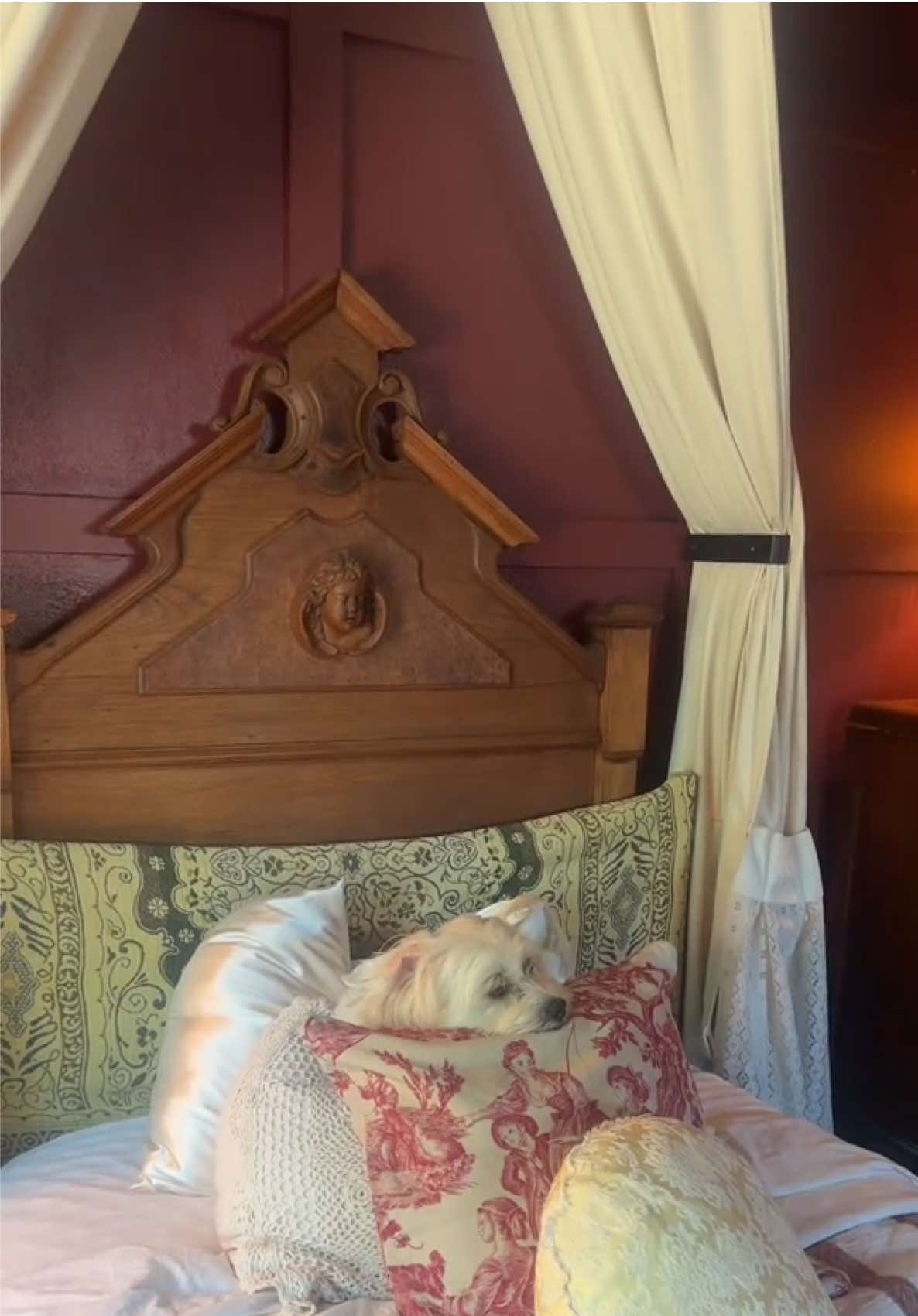 A mid-progress room update because I was awful at recording my process as I go per usual.. #room #myroom #RoomTour #roomdecor #interiordesign #design #roommakeover #greenscreenvideo #greenscreen #pinterest #project #mystyle #vintage #antique #bedroommakeover #bedroomdesign 