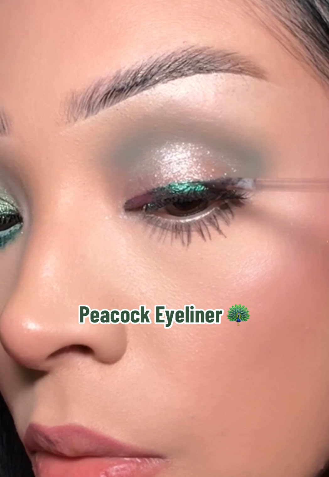 Chorme Liquid Eyeliner 💚🦚✨ @Stila Cosmetics  #Eyeliner #vemakeup713 