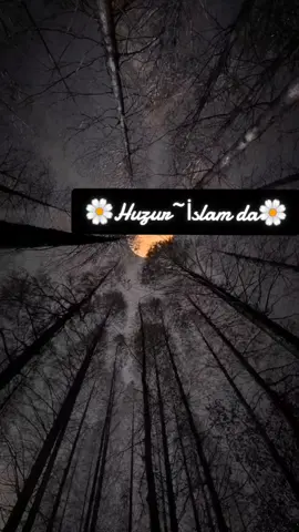 #abdulmetinbalkanoğlu 