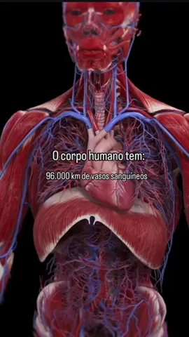 #corpohumano #Deuseperfeito #fyyyyyyyyyyyyyyyy #viralvideos 