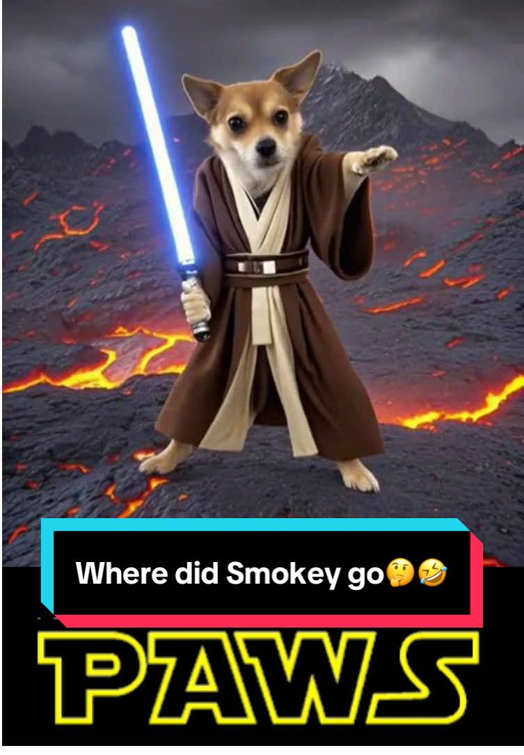 🤣🤦🏼‍♀️ It done changed Smokey’s whole identity 💀 #AI always does me dirty too🤷🏼‍♀️🤣 #StarPaws #starwars #aidonemedirty #dogtok #capcuttemplate 