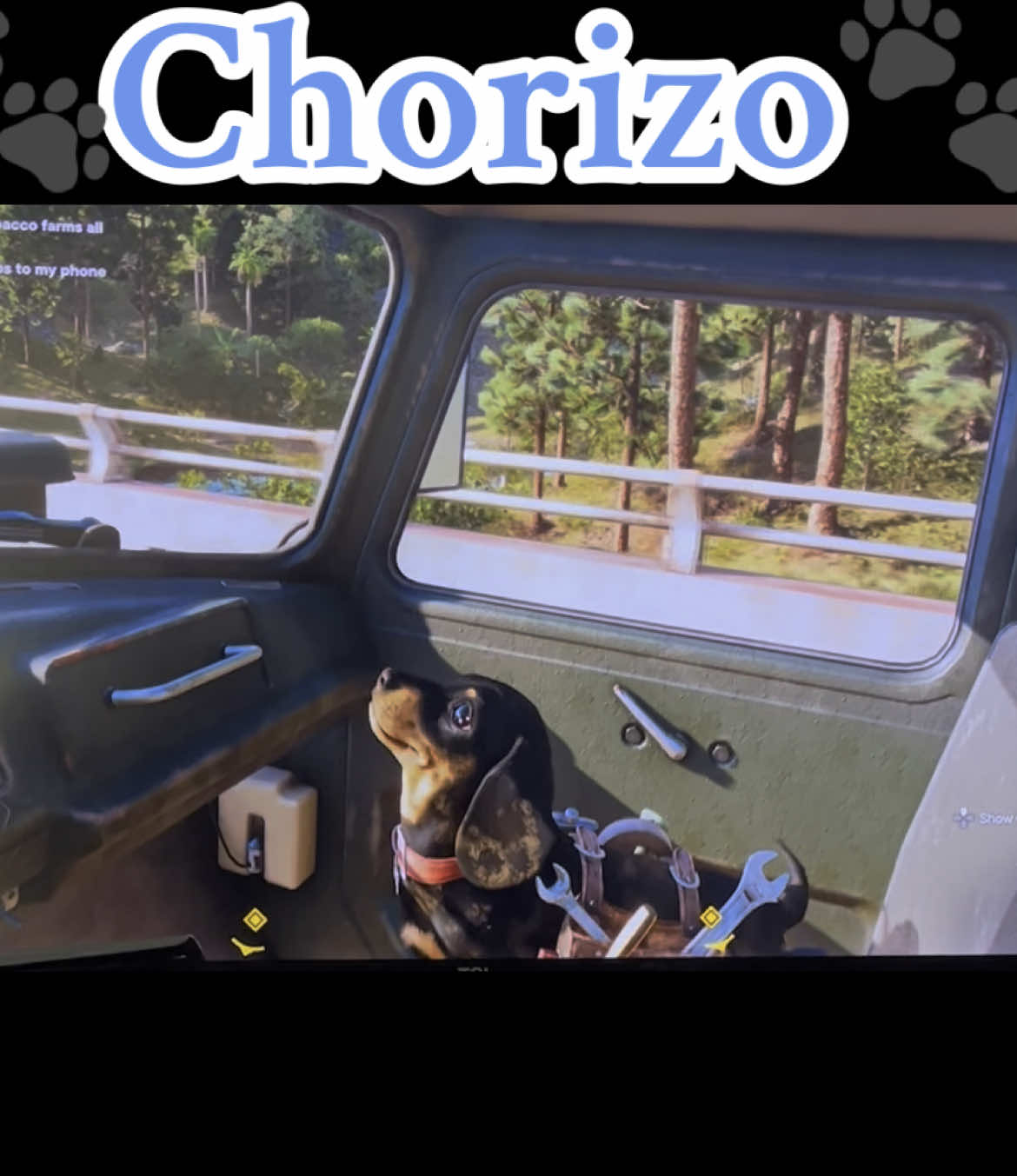 I have to say, Chorizo is the reason why I like this game and play it☺️ Just a cute little puppy dog🐶 #farcry #ubisoft #gaming #stealth #farcry6  #fyp #game #fy #edit #tribute  #edits #farcry6gameplay #gameplay #gaming #GamerGirl #gamer #games #GamingOnTikTok #ps5 #ps4 #war #dogsoftiktok #dog #dogs #puppy #puppytiktok #puppydog #furbaby #furbabylove #guns #gun #soldier #dictator #rebel #rebellion #libertad #danny #character #female #women #woman #strong #strength #yara #anton #cars #car #truck 