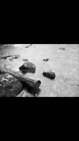 هیچ ئازیزێك لەبیر ناکرێت ئەگەر هەزار ساڵیش بەسەر کۆچیدا تـێپەڕێت. #foryoupage #foryou #fyシ゚ #viral #fyp #tiktok #trending #مهستی #mahasti #foryoupage #viral 