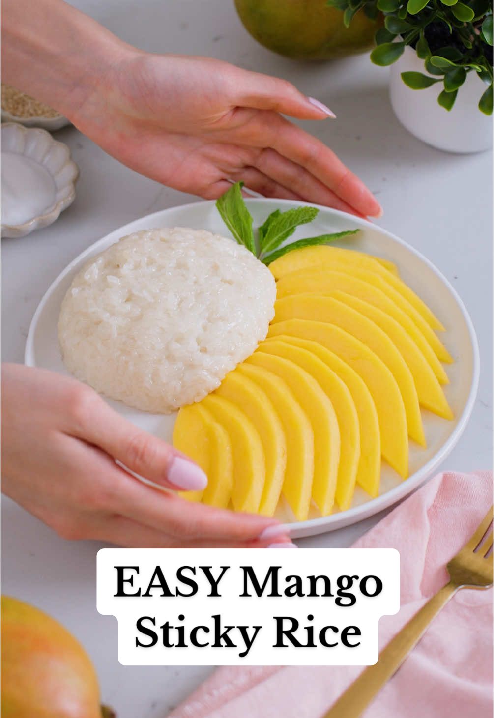 EASY Mango Sticky Rice 😍 This mango sticky rice recipe features sweet coconut sticky glutinous rice paired with fresh ripe mangoes. AND it only requires 6 simple ingredients. Grab the recipe on my blog today! 💕 #recipes #thaifood #desserts #mangos 