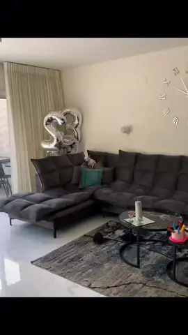 why is niki hidding there 😂 #pet #foryou #PetsOfTikTok #fypシ #chihuahua #dog 