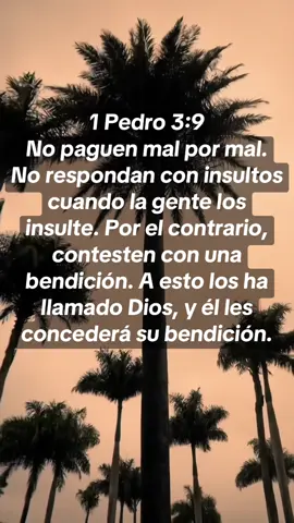Versículo del día #versiculosbiblicos #palabradedios 
