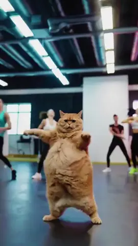 Vamos de dança 🩰 