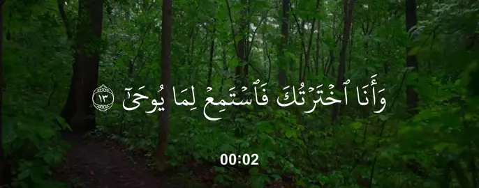 قران، فيديو قران راحة نفسية، قران كريم، قران خشوع و بكاء، قران خشوع، قران ، قران هادئ راحه نفسيه، قران كريم صوت جميل راحه نفسيه، قران راحه نفسيه هدوء. محمد اللحيدان الفاتحة، محمد اللحيدان اجمل تلاوة، محمد اللحيدان سورة الفرقان، محمد اللحيدان مؤثر، محمد اللحيدان شاشه سوداء، محمد اللحيدان قران، محمد اللحيدان خذوه فغلوه، محمد اللحيدان هيهات هيهات، محمد اللحيدان ليلة ٢٧، محمد اللحيدان تلاوه خاشعه.#quran #راحة_نفسية #تلاوة_خاشعة #قران #محمد_اللحيدان 