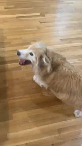 She loves moving the furniture around 