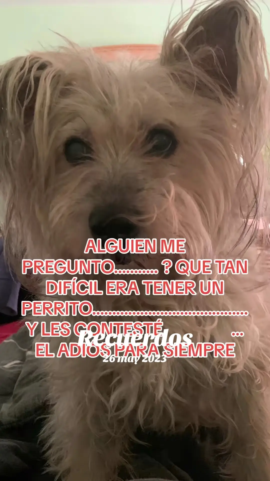 #Recuerdos 