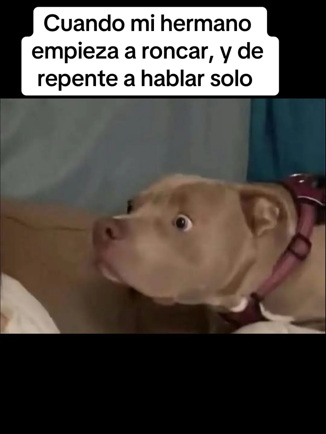 Yep 