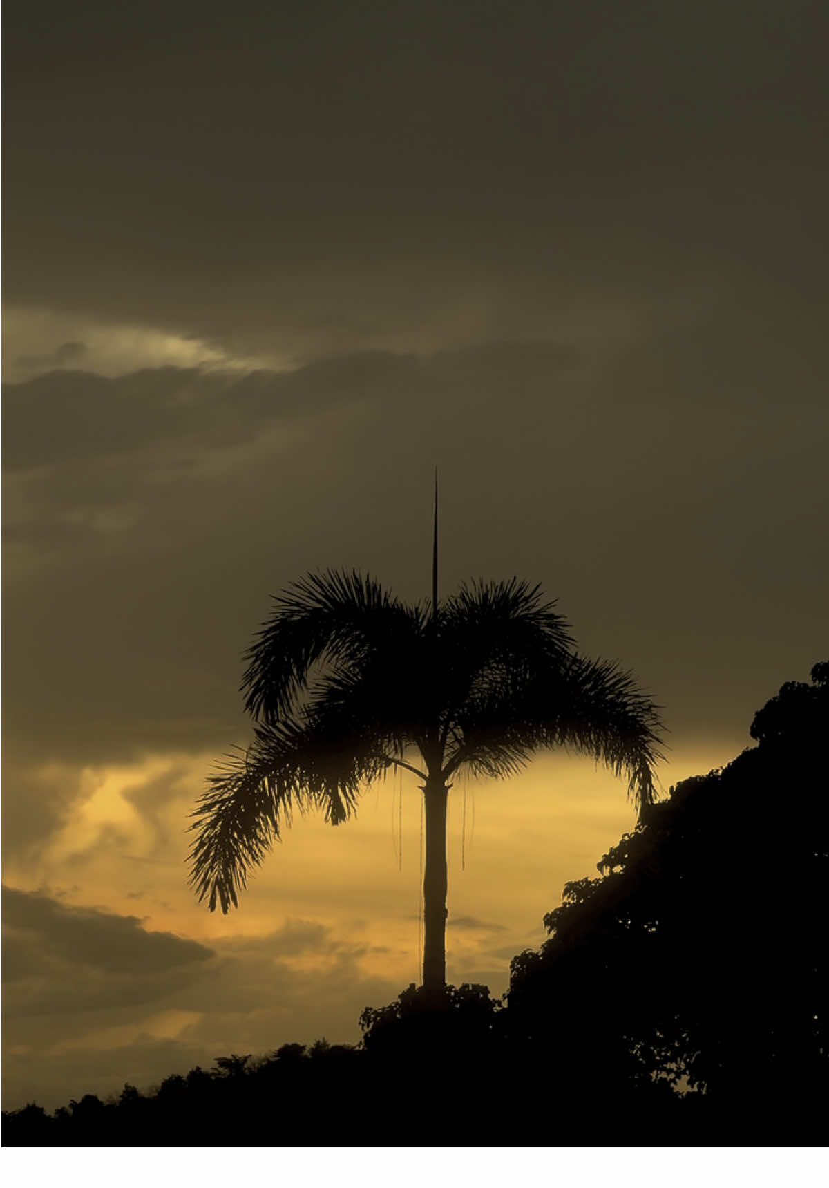 #ceritasenja 