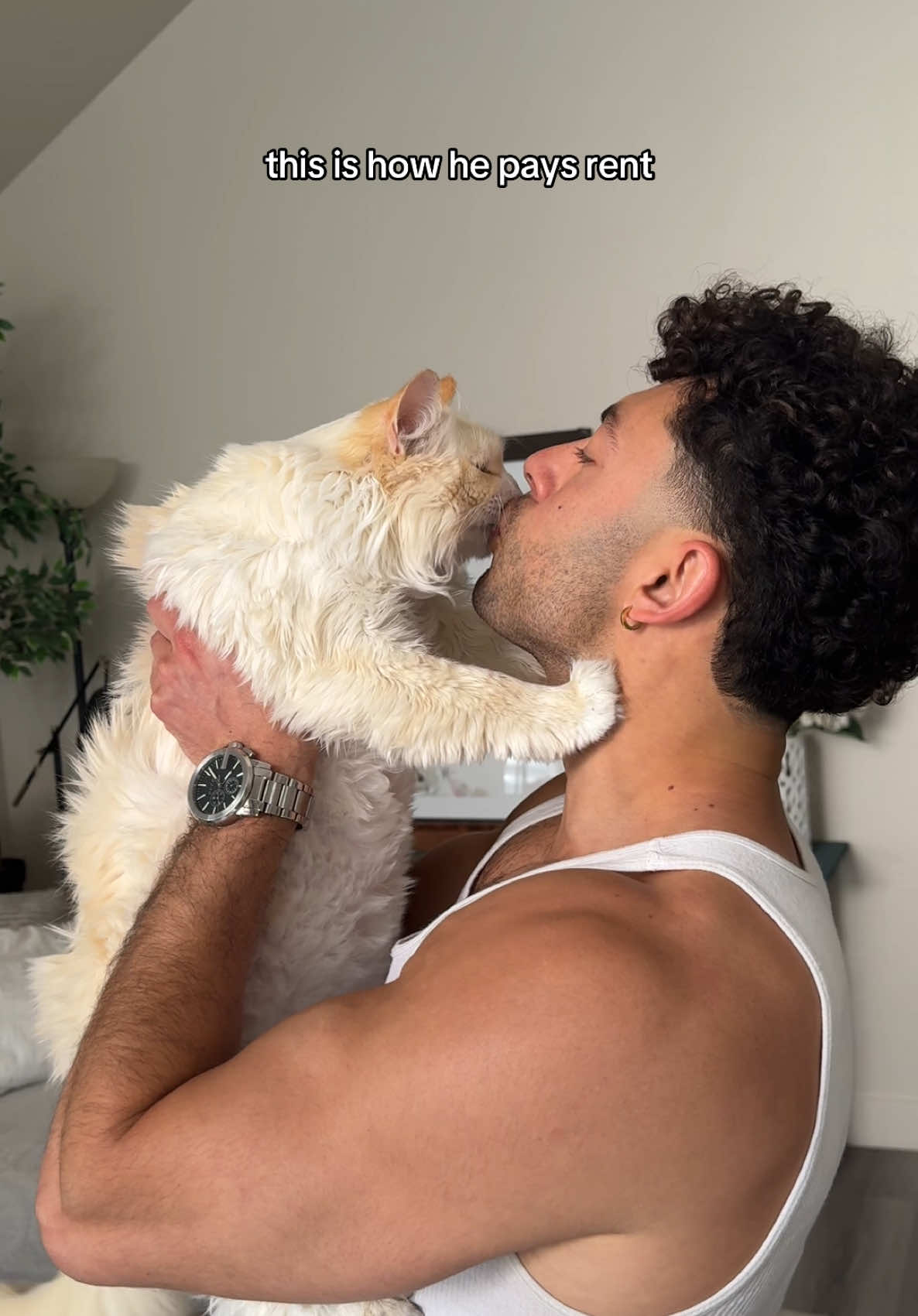 end of the month! time to collect! 💸 #catsoftiktok #catlover #funnycat #cutecat 