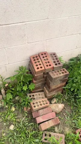 1 flower bed down.. 2 to go!  