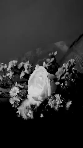 #flowers 