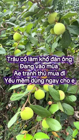 #xuhuongtiktok #xuhướng #tebichantaytangcuongsinhly 