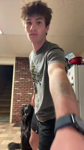 shadows fav song btw #kesha #fypシ゚viral #trending #fyp #dog #dogs #dogsoftiktok #fyppppppppppppppppppppppp 