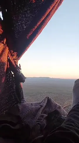 Asi se ve el Tardeser en El Desierto de Arizona 🇺🇸🇺🇸