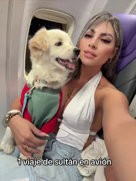 Mi bb