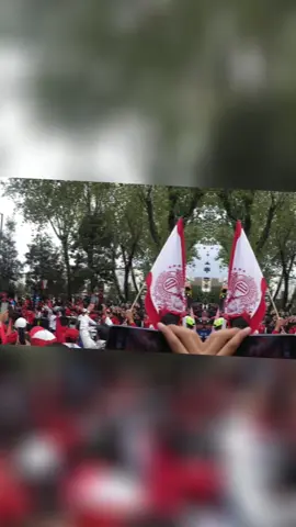 esto es Toluca señores!!! #finalligamx #campeon2025 #tolucafc #nemesiodiez @Toluca FC 