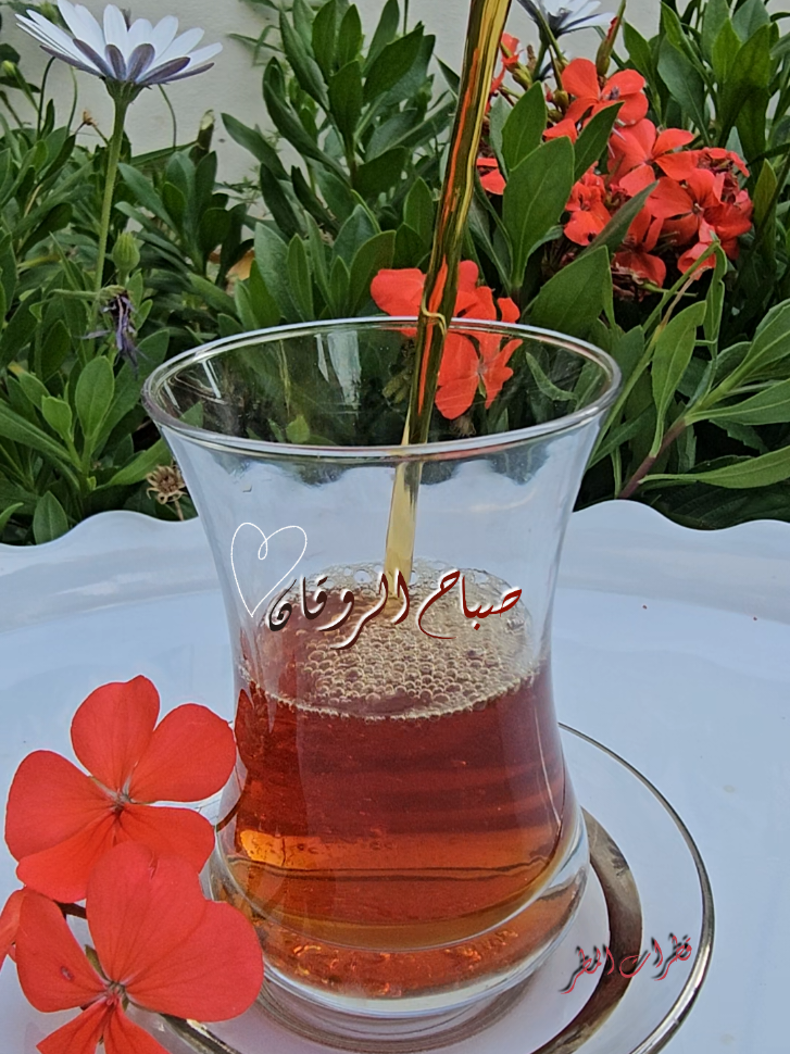 صباح الروقان 🤎 #صباح_الخير #صباح_الروقان #شاي_الصباح #صباح_الورد_والريحان #صباحكم_معطر_بذكر_الله #صباحكم_أحلى_صباح #صباح_السعادة_والرضا #صباح_الجمال #صباحكم #صباحيات #تصاميم_صباح #صباح_جميل #صباح_الصباح #اذكار_الصباح #دعاء_الصباح #السعودية #تصويري #تصميمي #اكسبلووووورررر #اكسبلوررررررررر #لايك_فولو #فوريو #اكسبلورررررررررررررررررررر #لايك #الكويت_مصر_السعودية_سوريا_الامارت #العراق_السعوديه_الاردن_الخليج #السعودية_تيك_توك #السعوديه_الرياض_جده_الشرقيه_ابها_مكه #السعودية_الكويت_مصر_العراق_لبنان #الرياض_جده_مكه_الدمام_المدينه #ترند #ترند_تيك_توك #explore #explorer #foryou #fyp #foryoupage #فوريو_foryo #fyppppppppppppppppppppppp #fypage #like #saudiarabia #goodmorning 