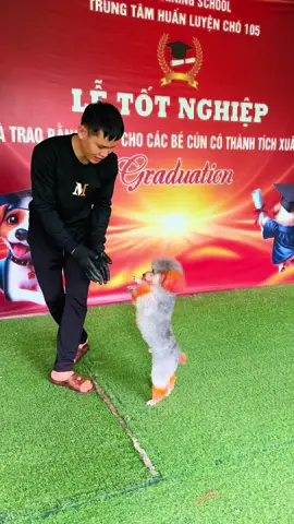 #cunyeu #fyp #cutedog #dog #poodle #huanluyencho #DogTraining #trending #xuhuong