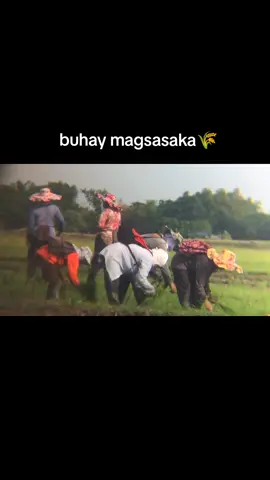 isang pagsaludo sa ating mga magsasaka🫡 #buhaybukid #magsasaka #probinsya #fyp 