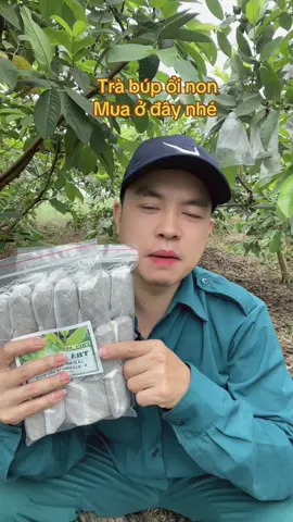 Ở đây có thứ bạn cần, mua trà lá ổi ở đây nhé #tralaoilasenphucan #trabupoinon #trathaomoc 