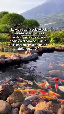 Vivamos y dejemos huellas no heridas.  #reflexion #lavidaessolouna #nolastimenanadie #paratii