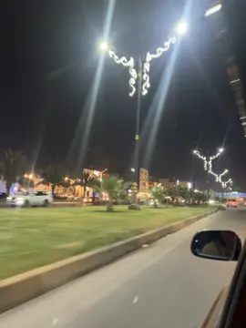 🌷🌷.!؟ #كربلاء 