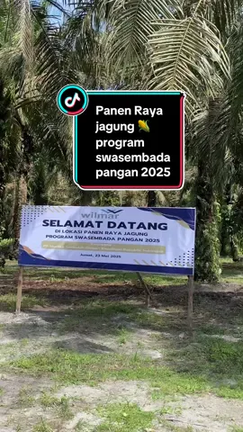 #swasembada #kalimantantengah #kotawaringintimur #sampit_kalteng #fyi #planters #wilmargroup #wilmarindonesia🇮🇩 