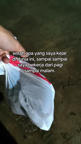 #imip_helmkuning #sad#fypage #pejuangrupiah 