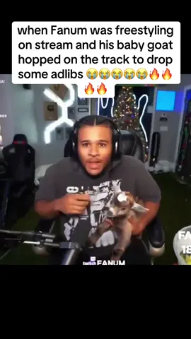 how he sound more like a goat than the goat itself 😭😭😭😭💀 . . . . #kaicenat #fanum #kaimafia #funny #reels #foryou #fyp #explore #explorepage #viral #reelsinstagram #Amp #dukedennis #speed #druski #kevinhart #fanum #fanumtax #agent #ray #rayasianboy #fyp #viralvideo #xyzbca #explore #funny #icarly #mrsama
