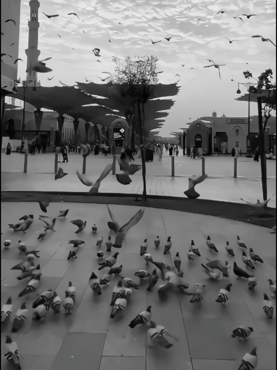 The Beauty Of Existence 🎧🍃 #islamic_video #nasheeds #edit #nasheed #firoz_shariar_rashik21 #rain 