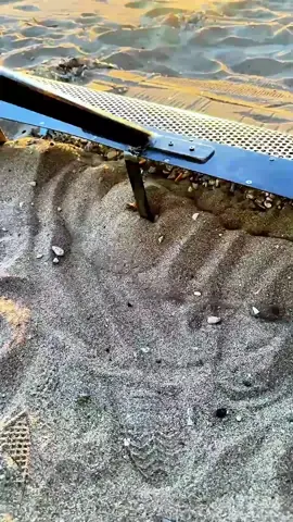 Beach Treasure Hunting_ Sifting Through Sand for Lost Valuables!