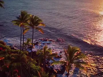 Loves first light #Summer #songs #summervibes #beachvibes 