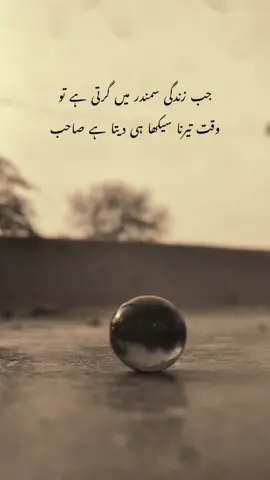 Exactly 🙌🏻📝#foryou #foryoupage #sayeedsb2 …