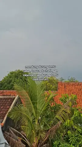 #fyp 