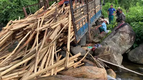 ăn được của rừng đâu có dễ
