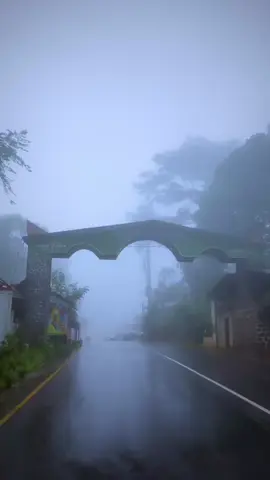 Currently WAYANAD 🌿🥳❤️