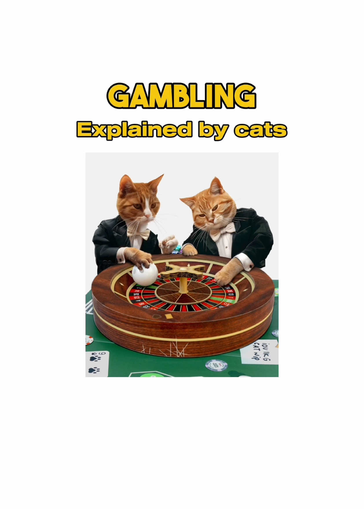 Gambling explained by cats 🐱:) #fyp #taxes #cat 